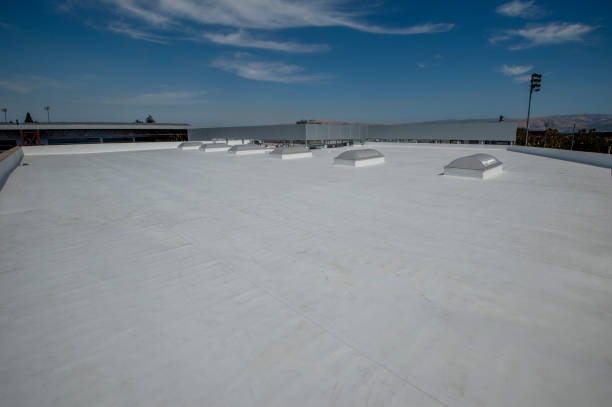 Best Sheet Metal Roofing  in Avenue B And C, AZ
