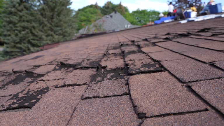 Best Emergency Roof Repair Services  in Avenue B And C, AZ