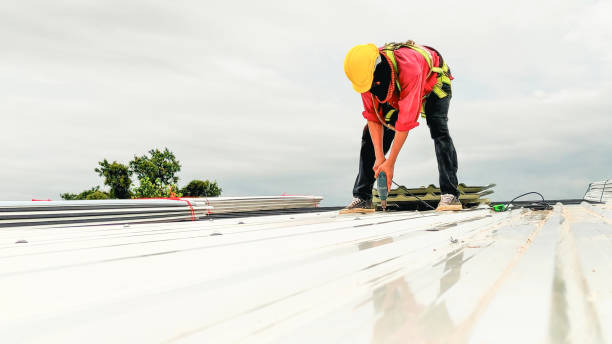 Best Solar Panel Roofing Installation  in Avenue B And C, AZ